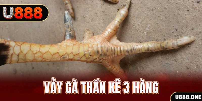 go8 nổ hũ đổi thưởng . ai