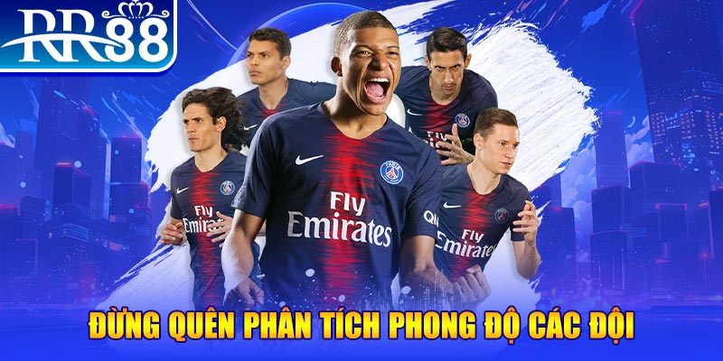 go8 chổi lông gà