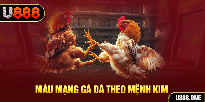 go8 gà chọi tiêu phong
