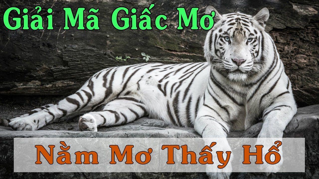 go8 xổ số miền trung