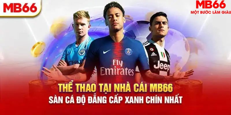 go8 HB Điện Tử