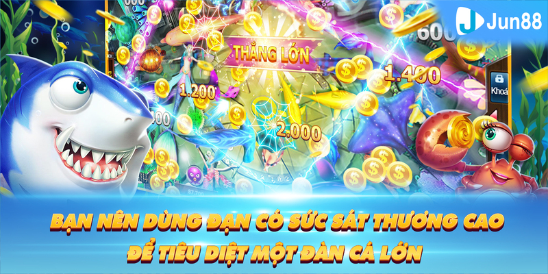 go8 ÁT CHỦ BÀI GIÀNH LẤY ZHUANG NIUNIU ( XEM 3 LÁ )