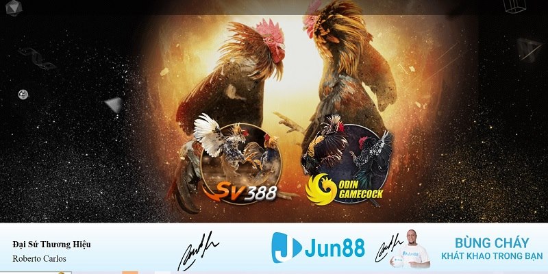 go8 xổ số miền nam hàng tuần