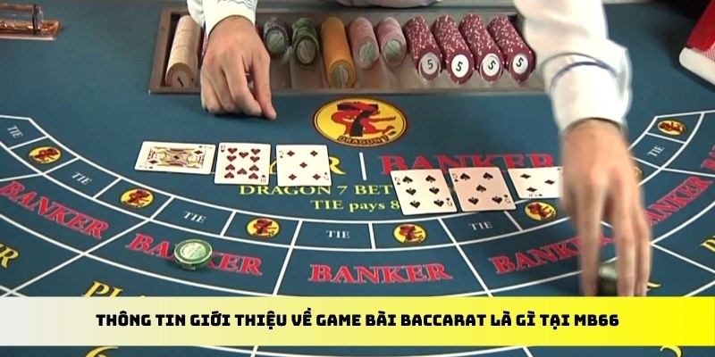 go8 xổ số trực tiếp miền bắc