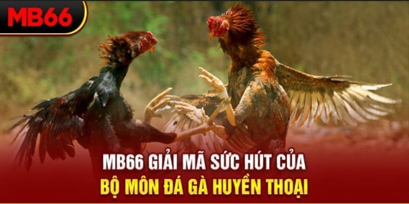 go8 long bảo trong baccarat là gì