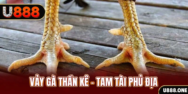 go8 xổ số 30 ngày