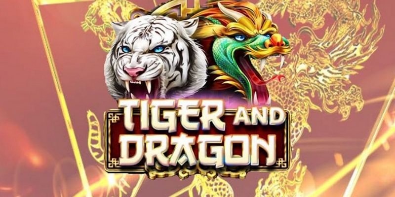 go8 cá cược tiếng anh là gì
