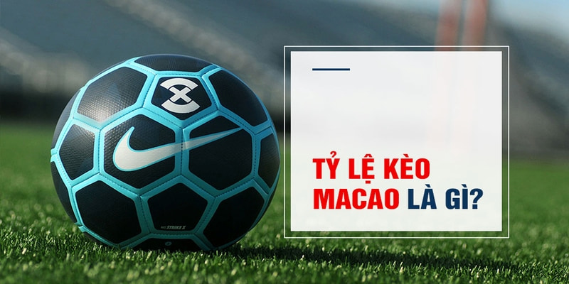 go8 Trăm Knorr