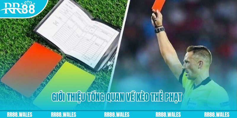 go8 đá gà trực tiếp c1